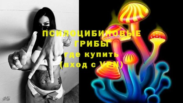 стафф Алексин