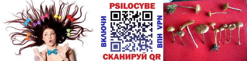 МЕГА сайт  Бологое  Галлюциногенные грибы прущие грибы 